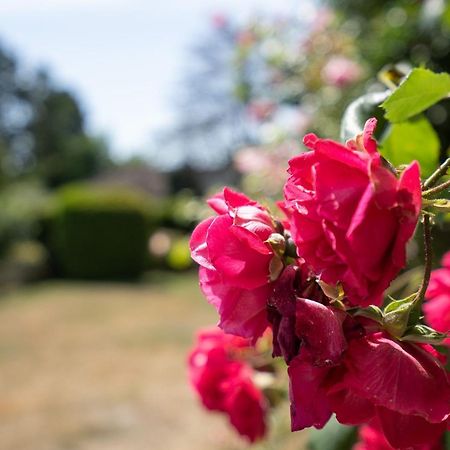 Carpe Diem Grömitz Eksteriør bilde